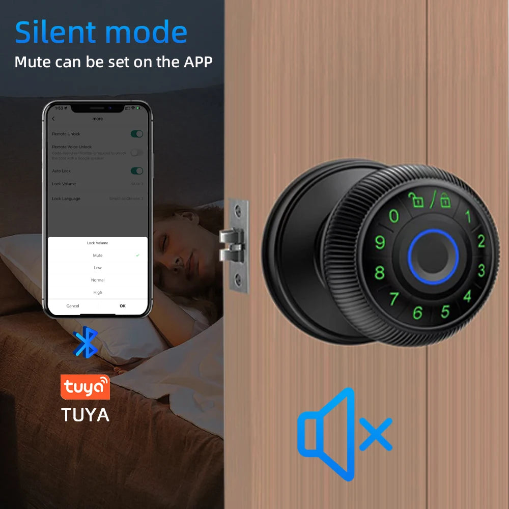 RAYKUBE Q6 Smart Fingerprint Door Lock