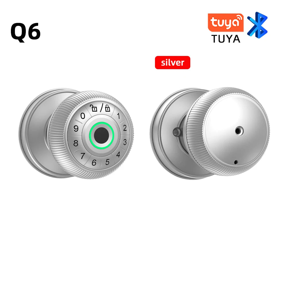 RAYKUBE Q6 Smart Fingerprint Door Lock