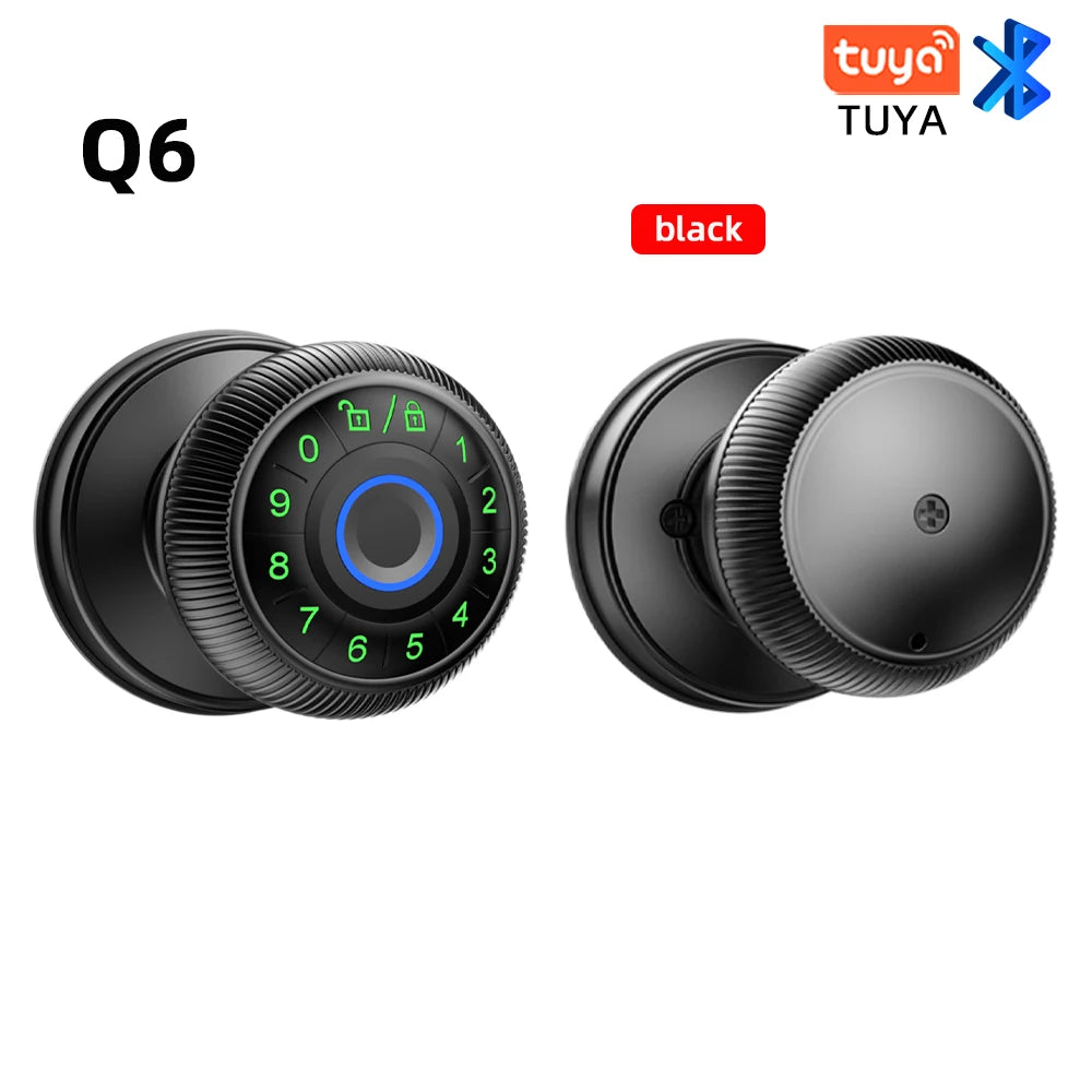 RAYKUBE Q6 Smart Fingerprint Door Lock